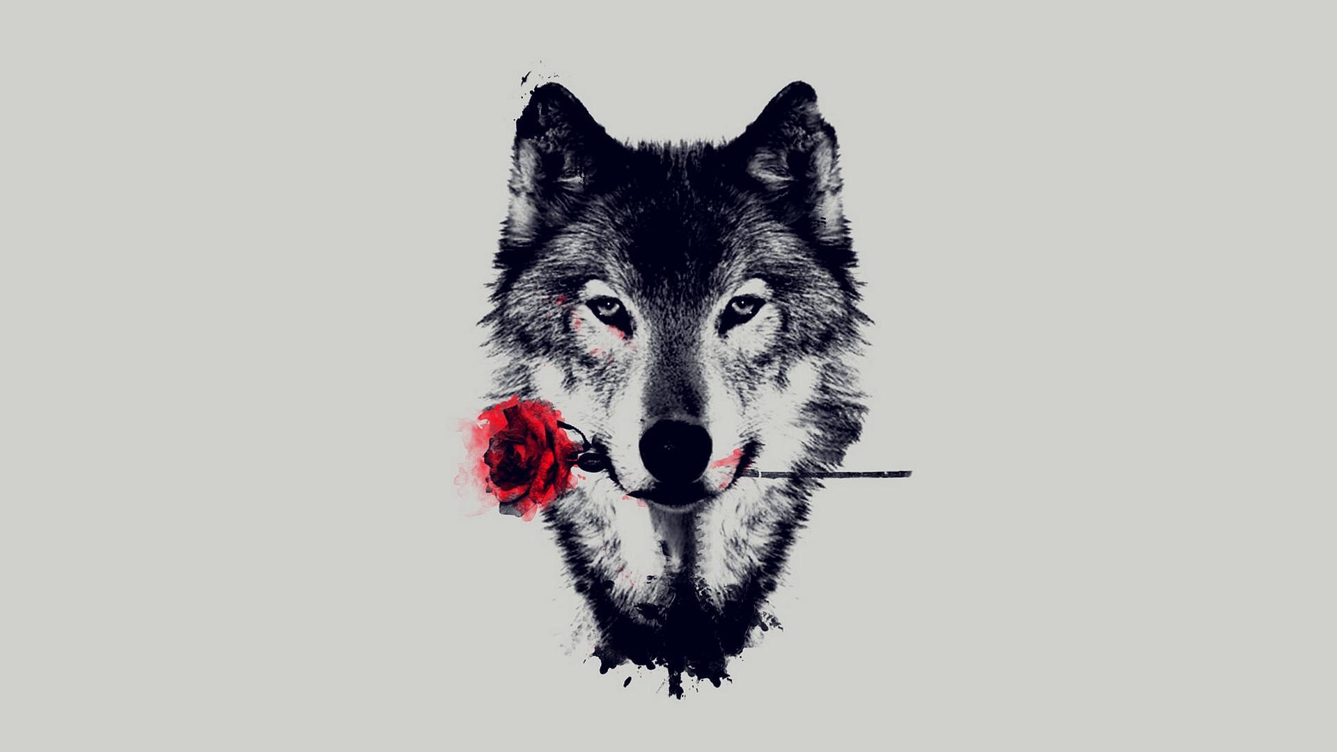 Wolf Wallpapers 4K