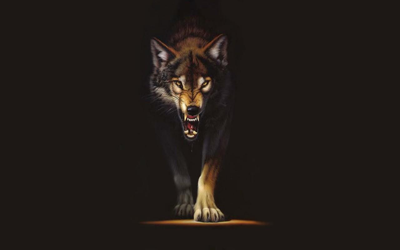 Más de 35 fondos de pantalla de Graphic Wolf - Descarga