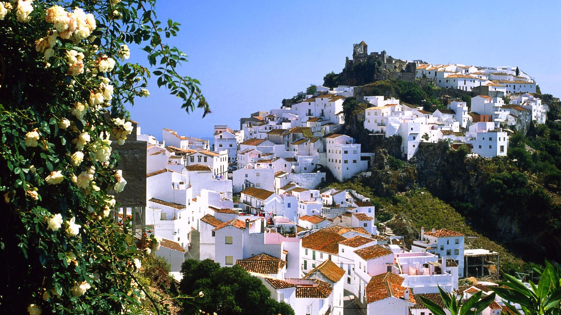 Fondo de pantalla de Málaga 1920x1080