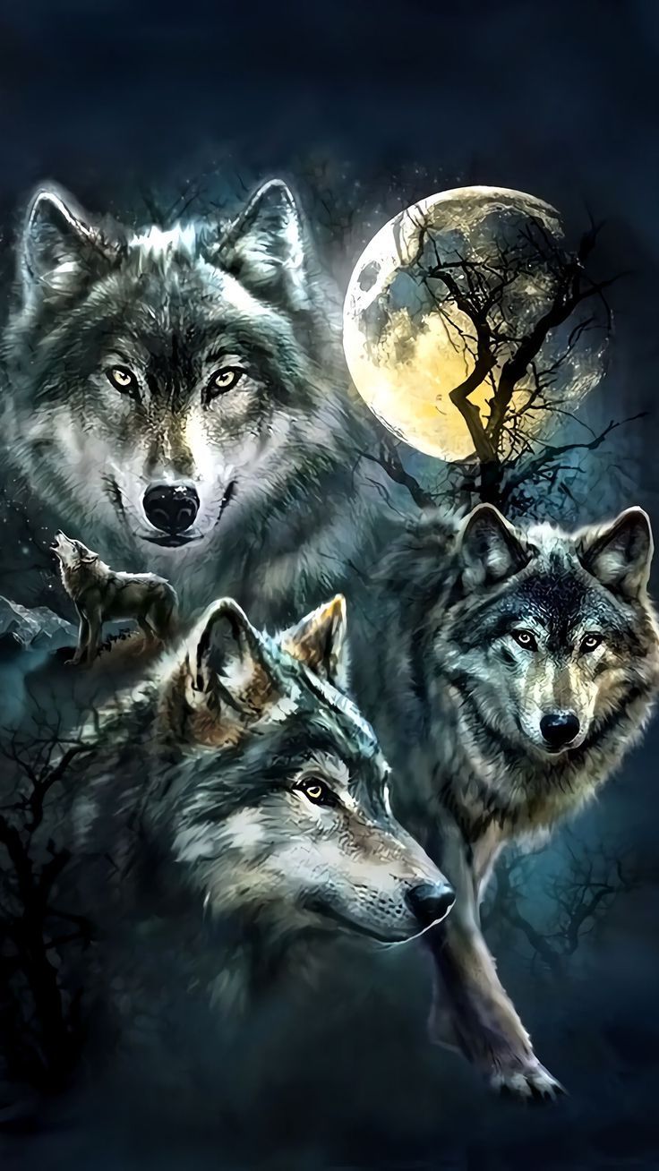 Lobo Wallpaper para iPhone | 2019 3D iPhone Fondos de pantalla