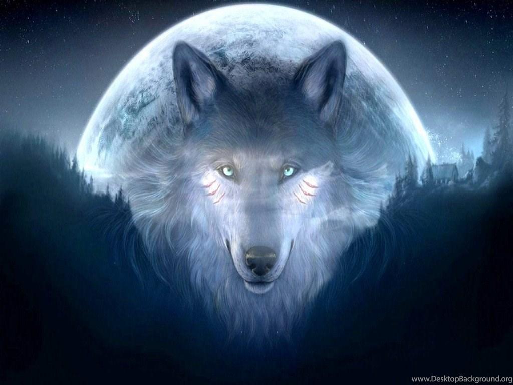 Fantasy Wolf fondo de pantalla 16 - 1024 X 768 | stmed.net