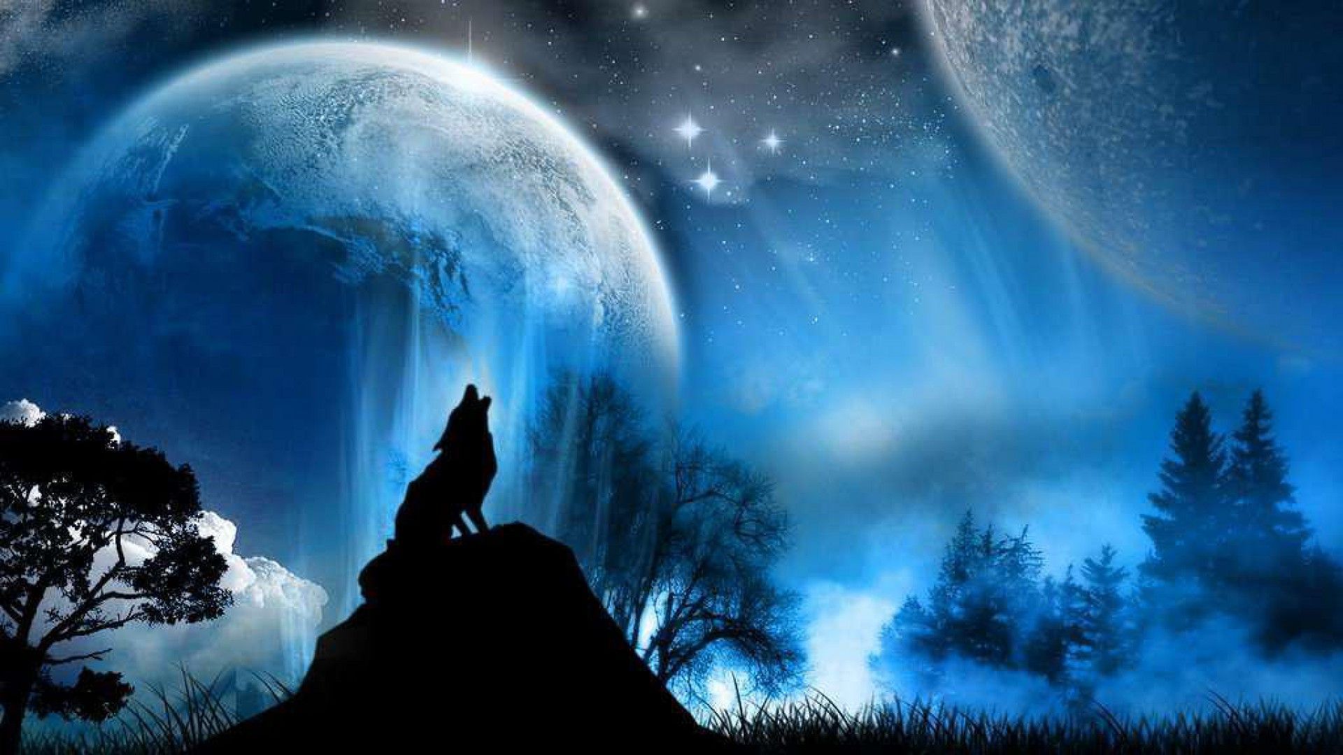 Wolf Wallpapers Descargar # IH3C9BA - 4USkY