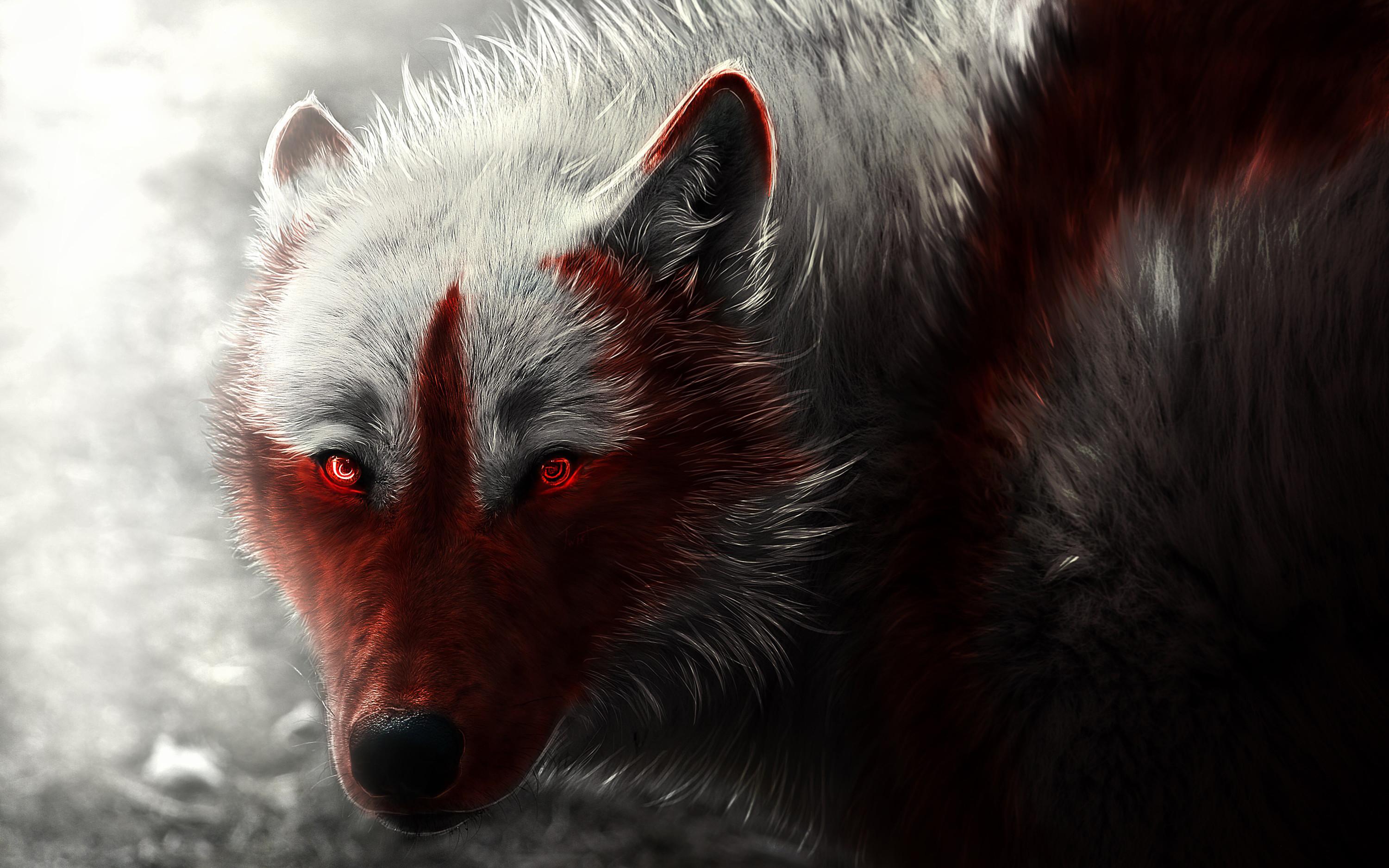 Neon Wolf Wallpaper (64+) - HD Nice Wallpapers