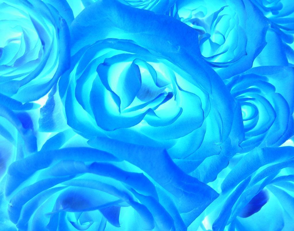 Fondo de pantalla   1024x805