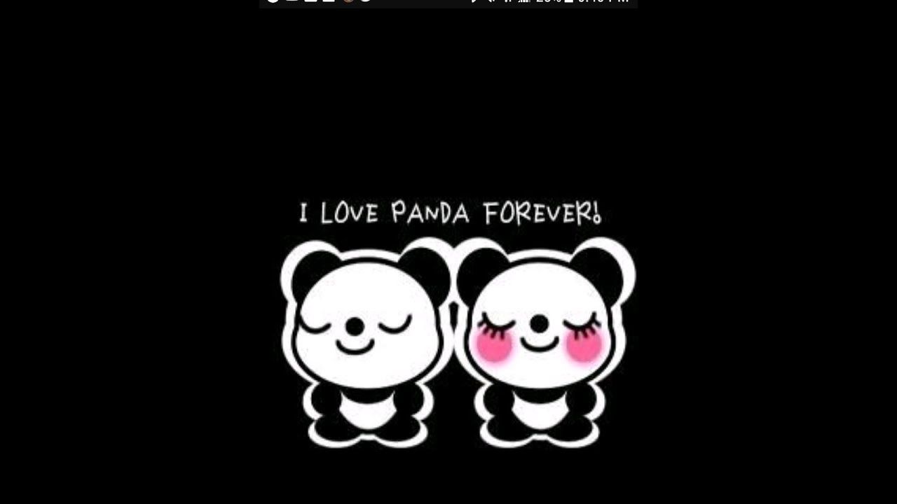 Cute Panda Wallpapers