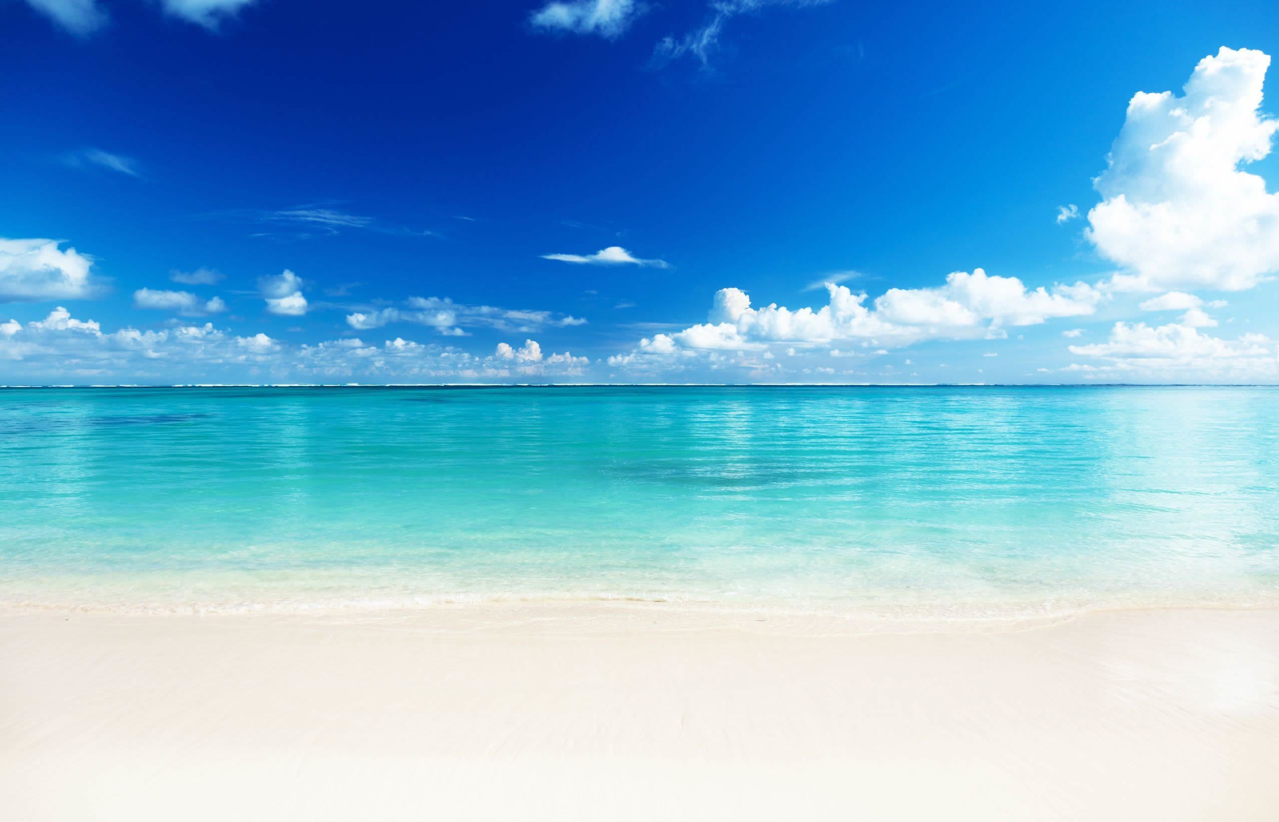 Fondo de pantalla de  2554x1642