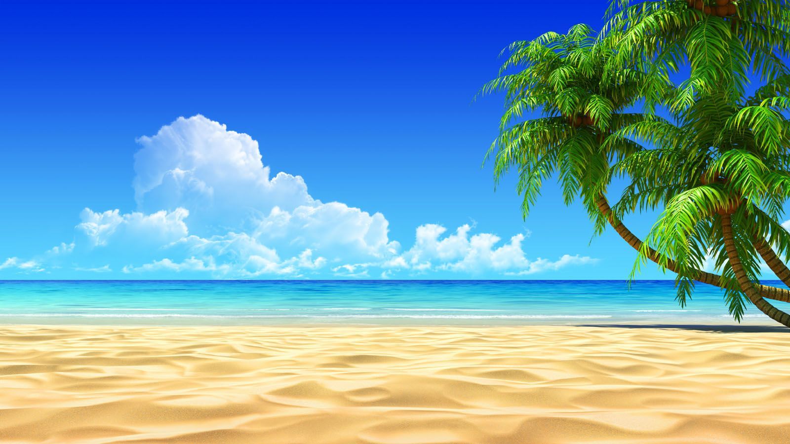 Fondo de pantalla de  1600x900