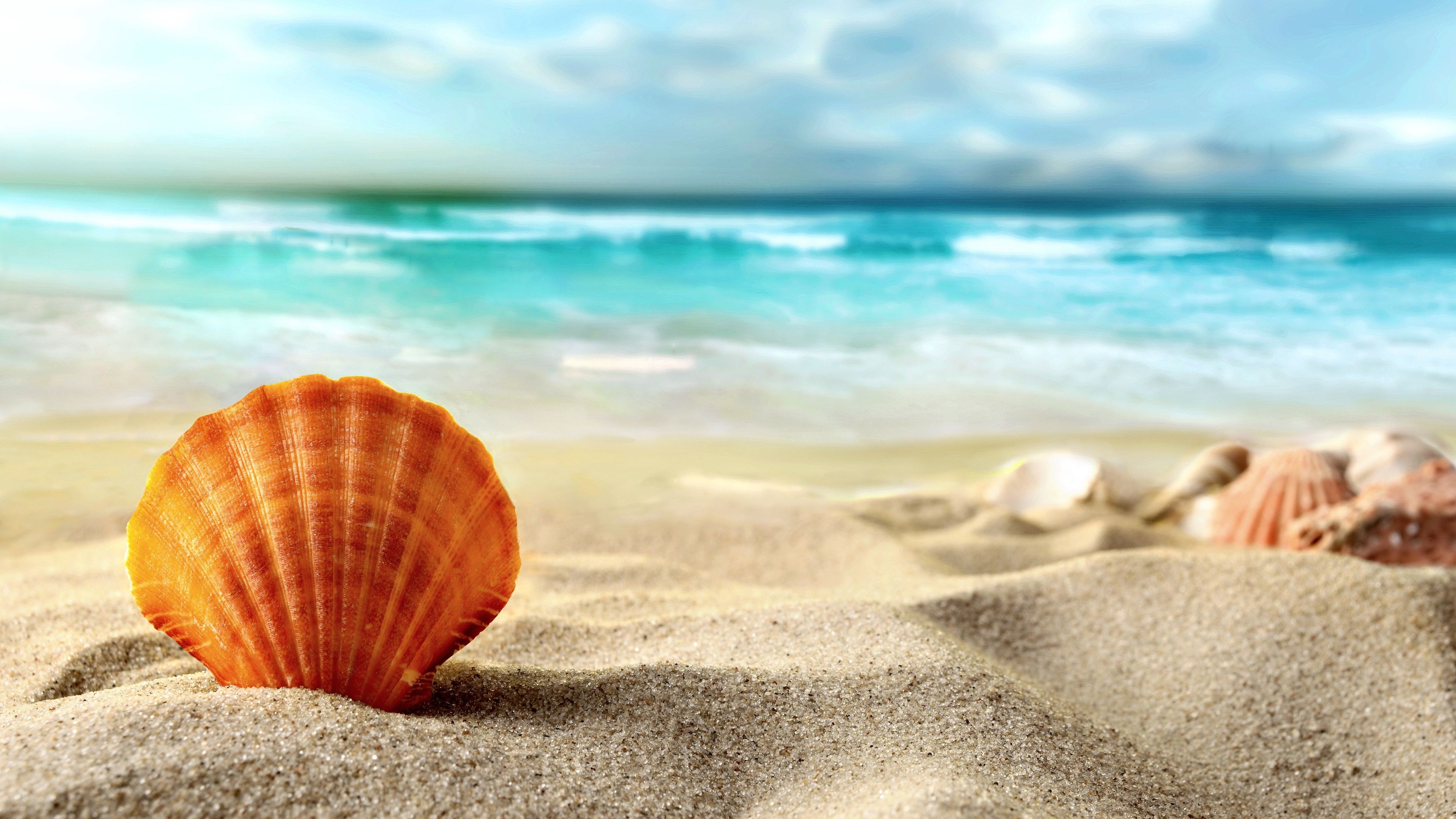 Fondo de pantalla de  3840x2160