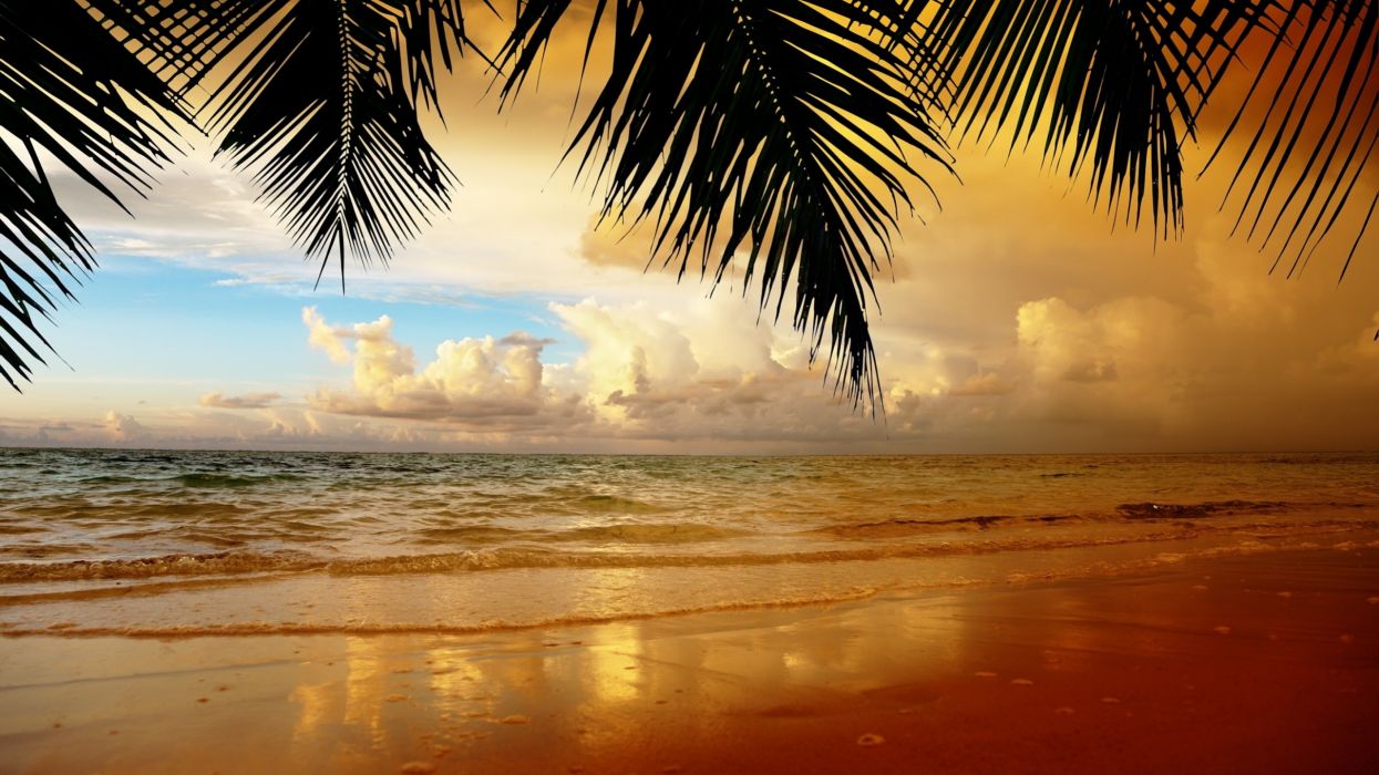 Fondo de pantalla de  1245x700