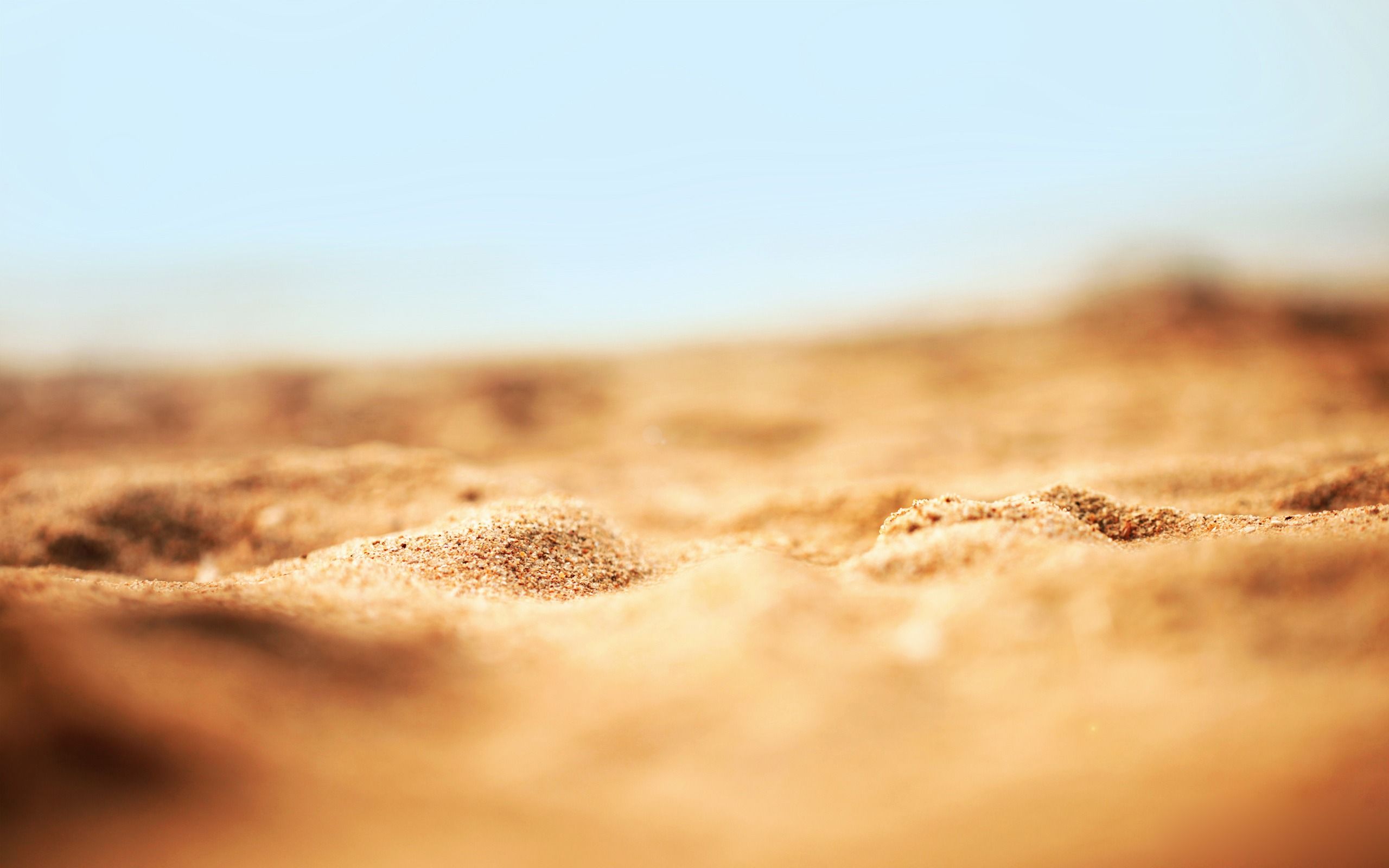 Fondo de pantalla de  2560x1600