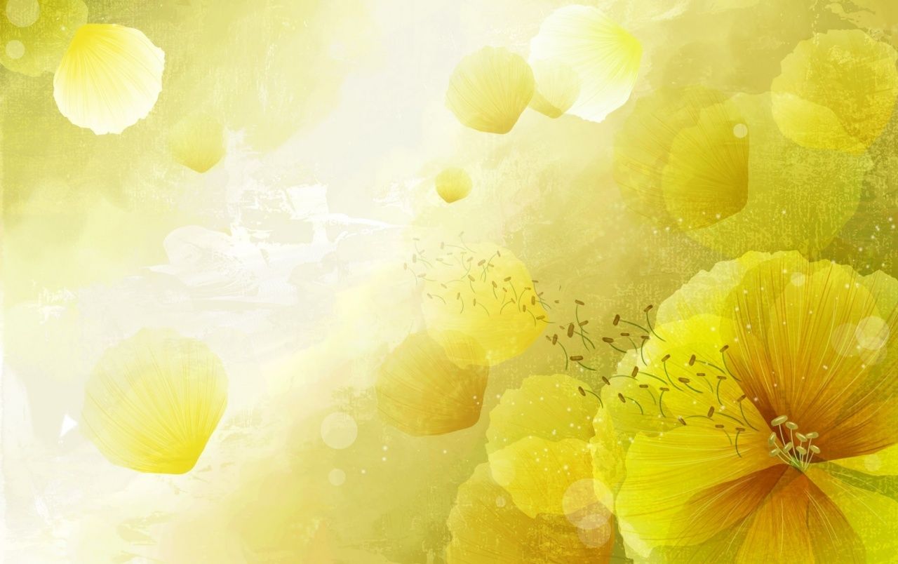 Fondo de pantalla de  1280x804
