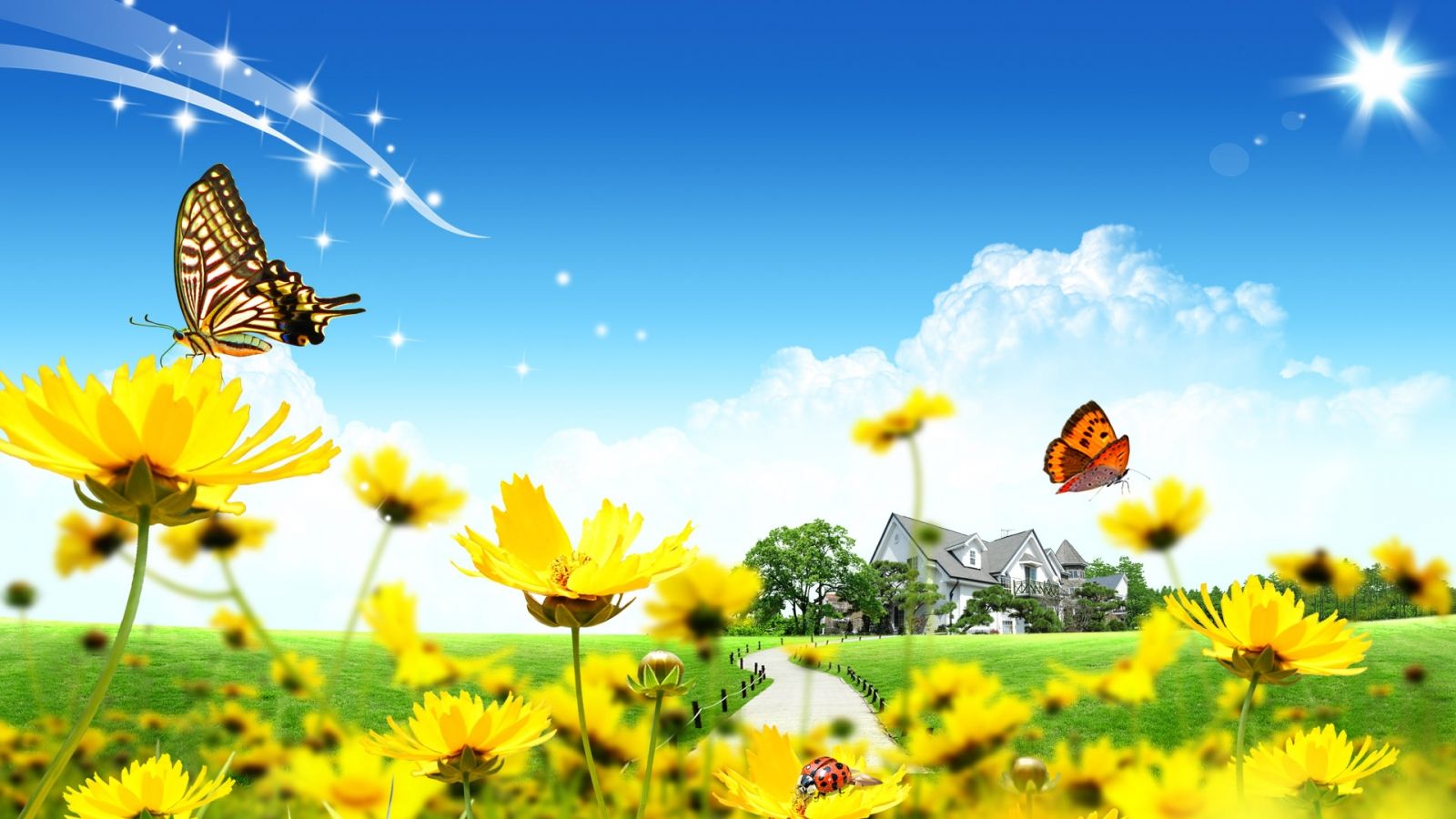 Fondo de pantalla de  1600x900