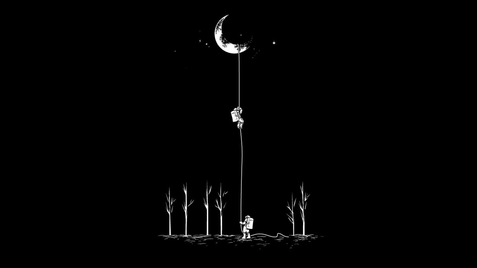 Fondo de pantalla de  1600x900