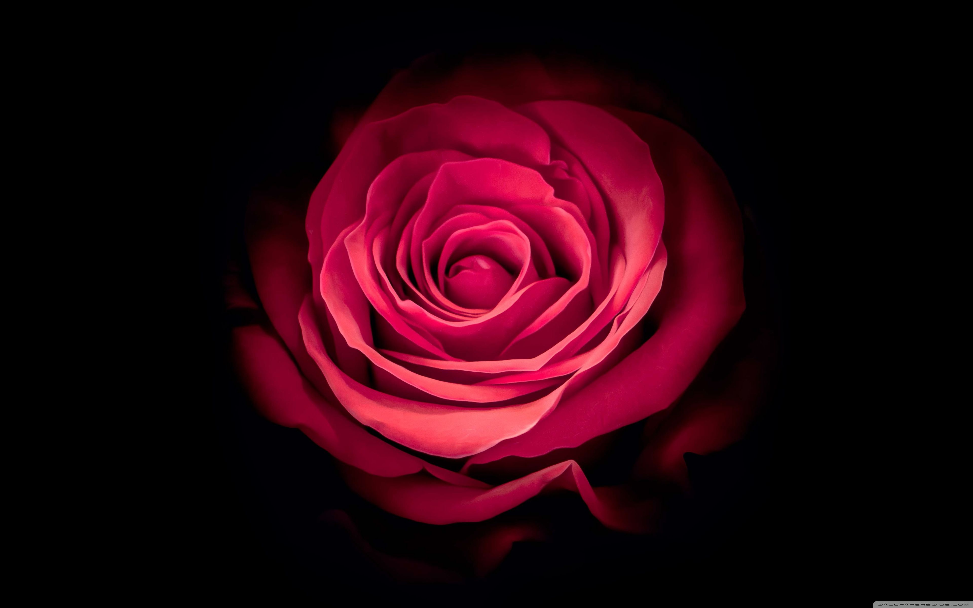 Fondo de pantalla de  3840x2400