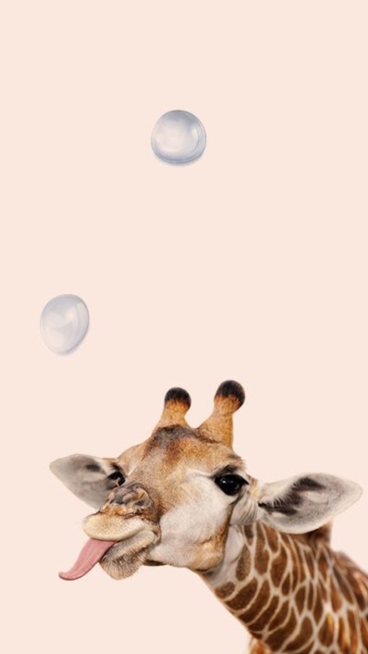 Fondo de pantalla de  1242x2208