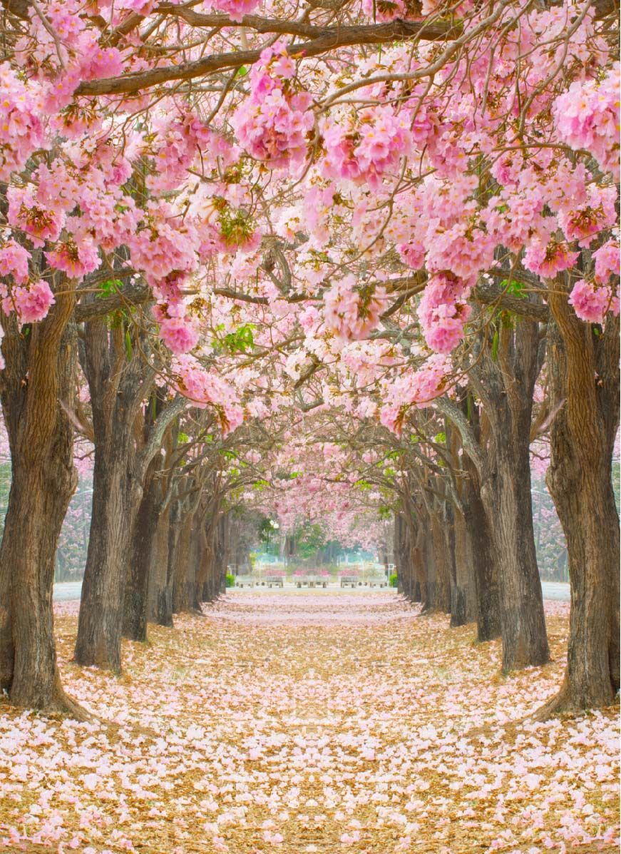 Fondo de pantalla de  871x1197