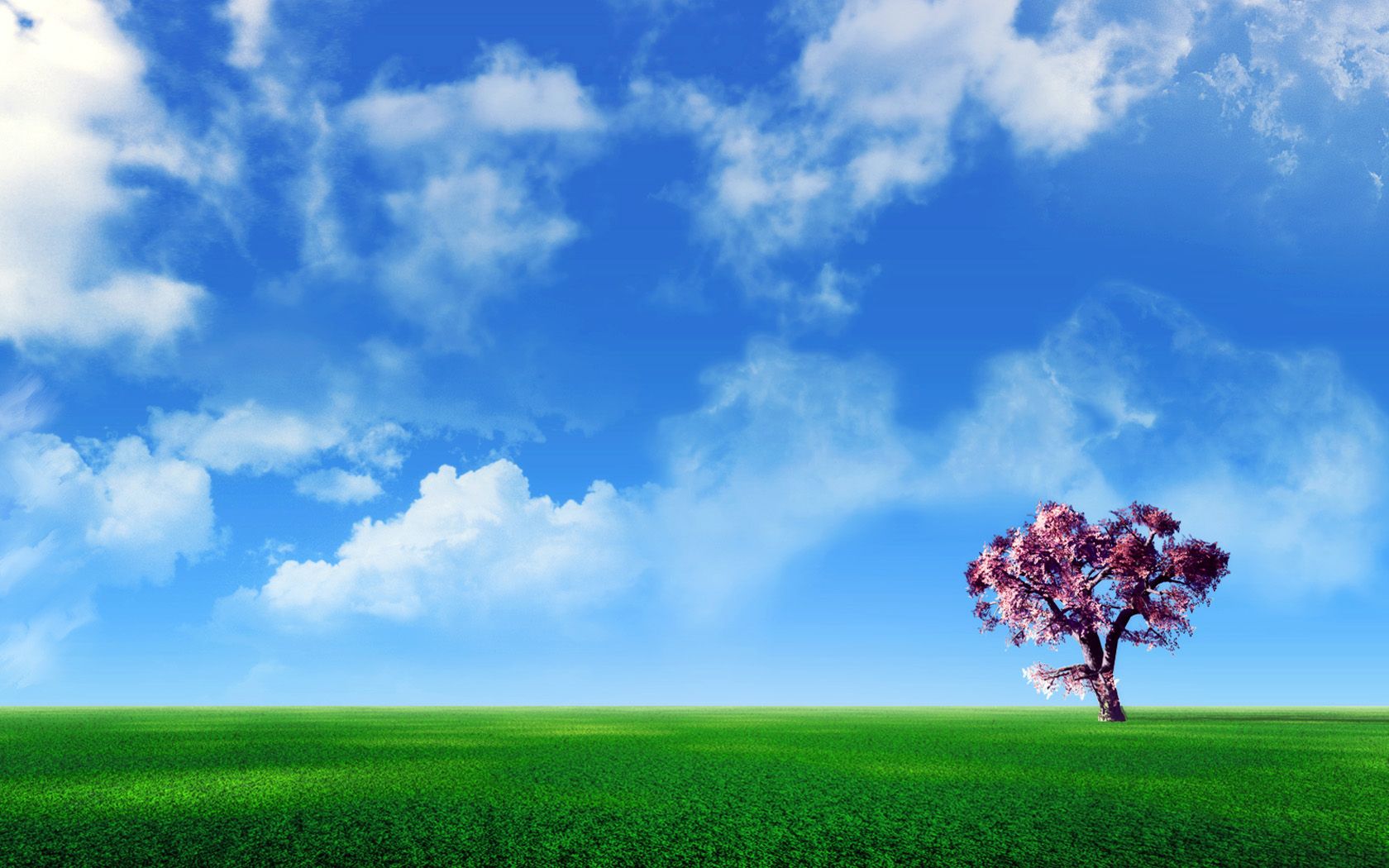 Fondo de pantalla de  1680x1050