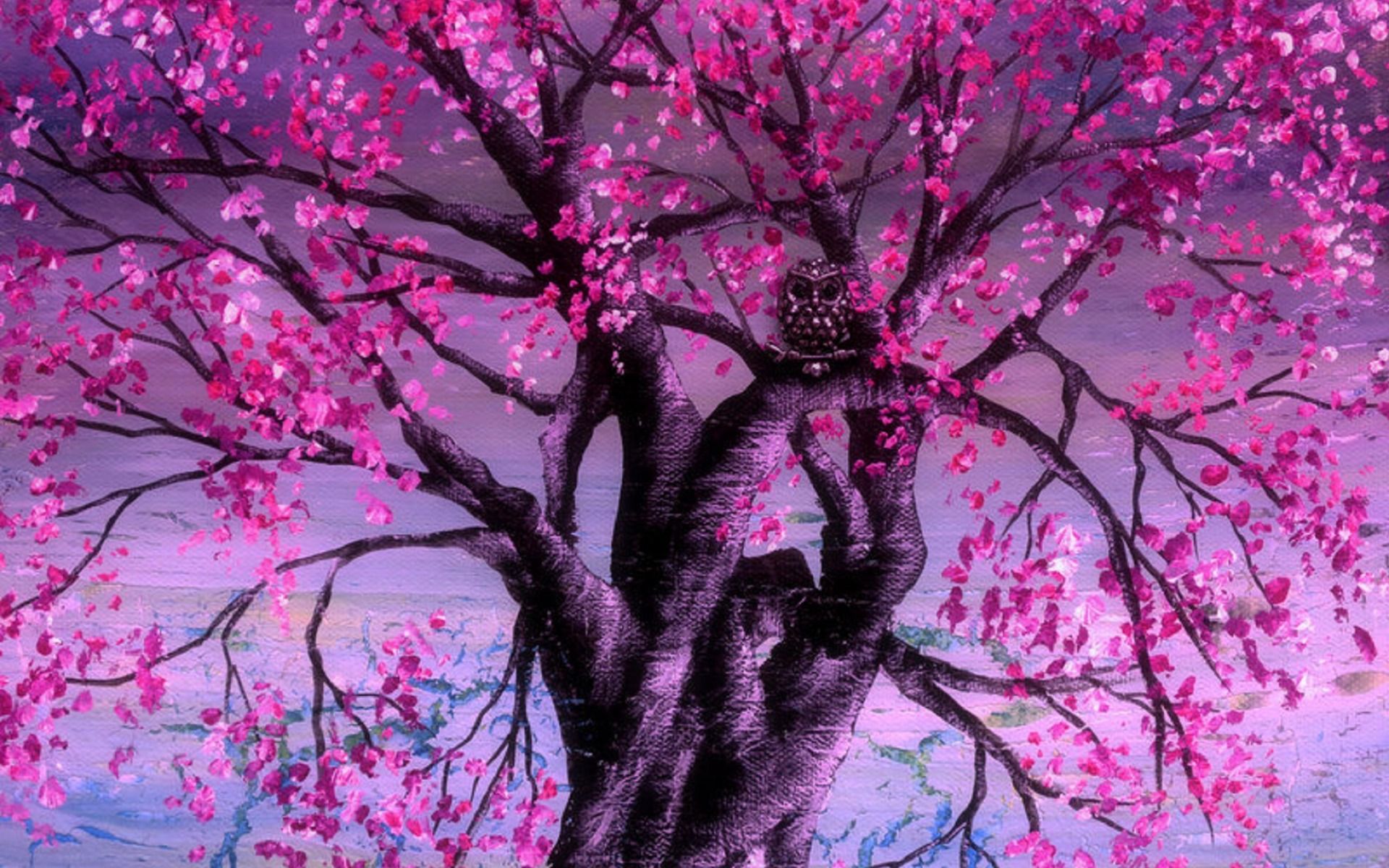 Fondo de pantalla de  1920x1200