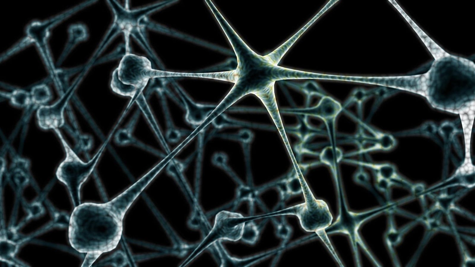 Fondo de pantalla de  1600x900