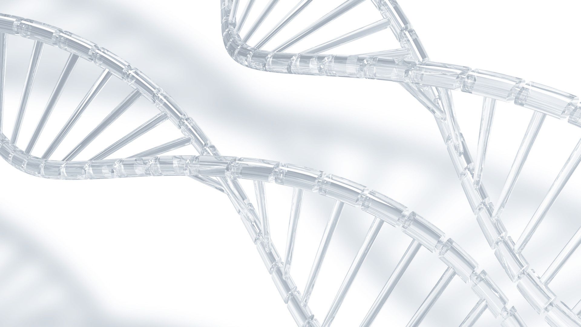 Fondo de pantalla de  1920x1080