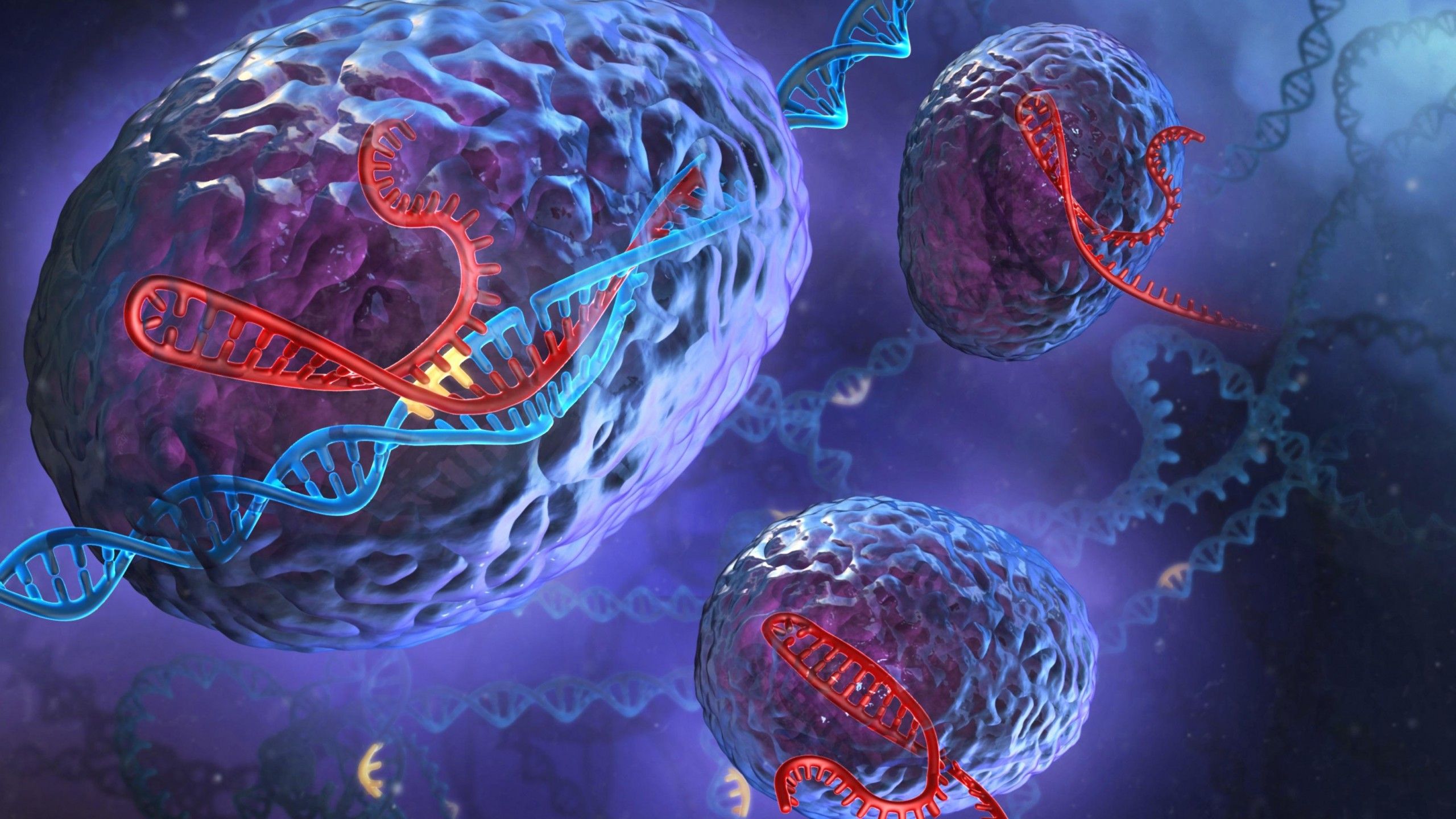 Fondo de pantalla de  2560x1440