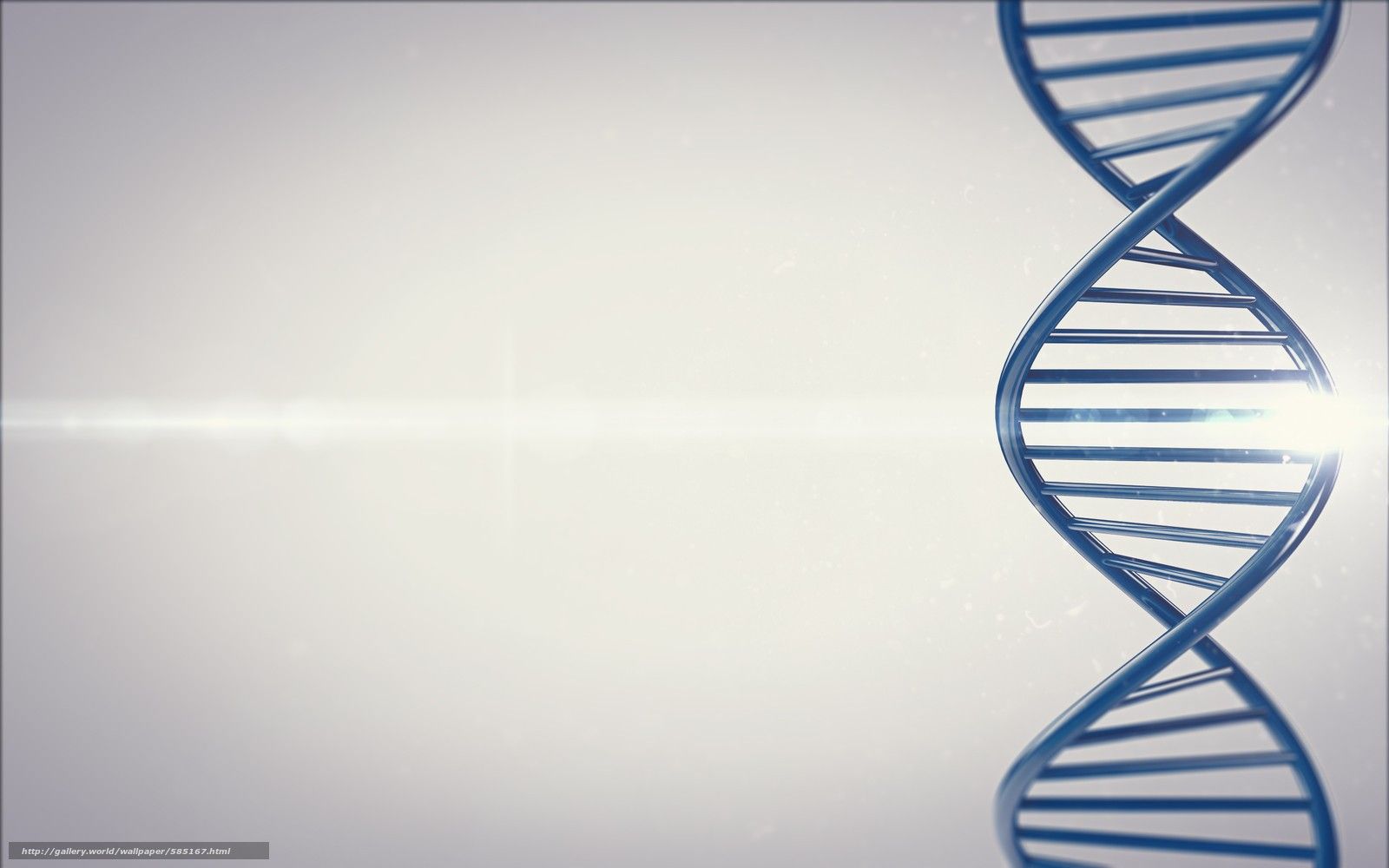 Fondo de pantalla de  1600x1000