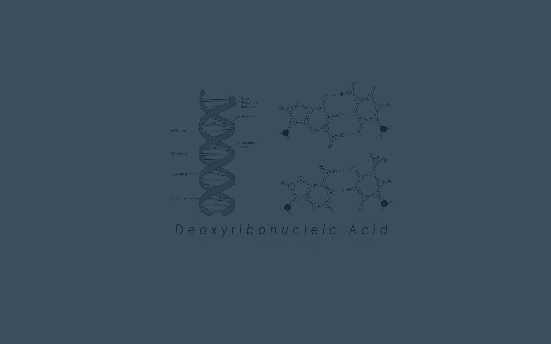 Fondo de pantalla de  1920x1200