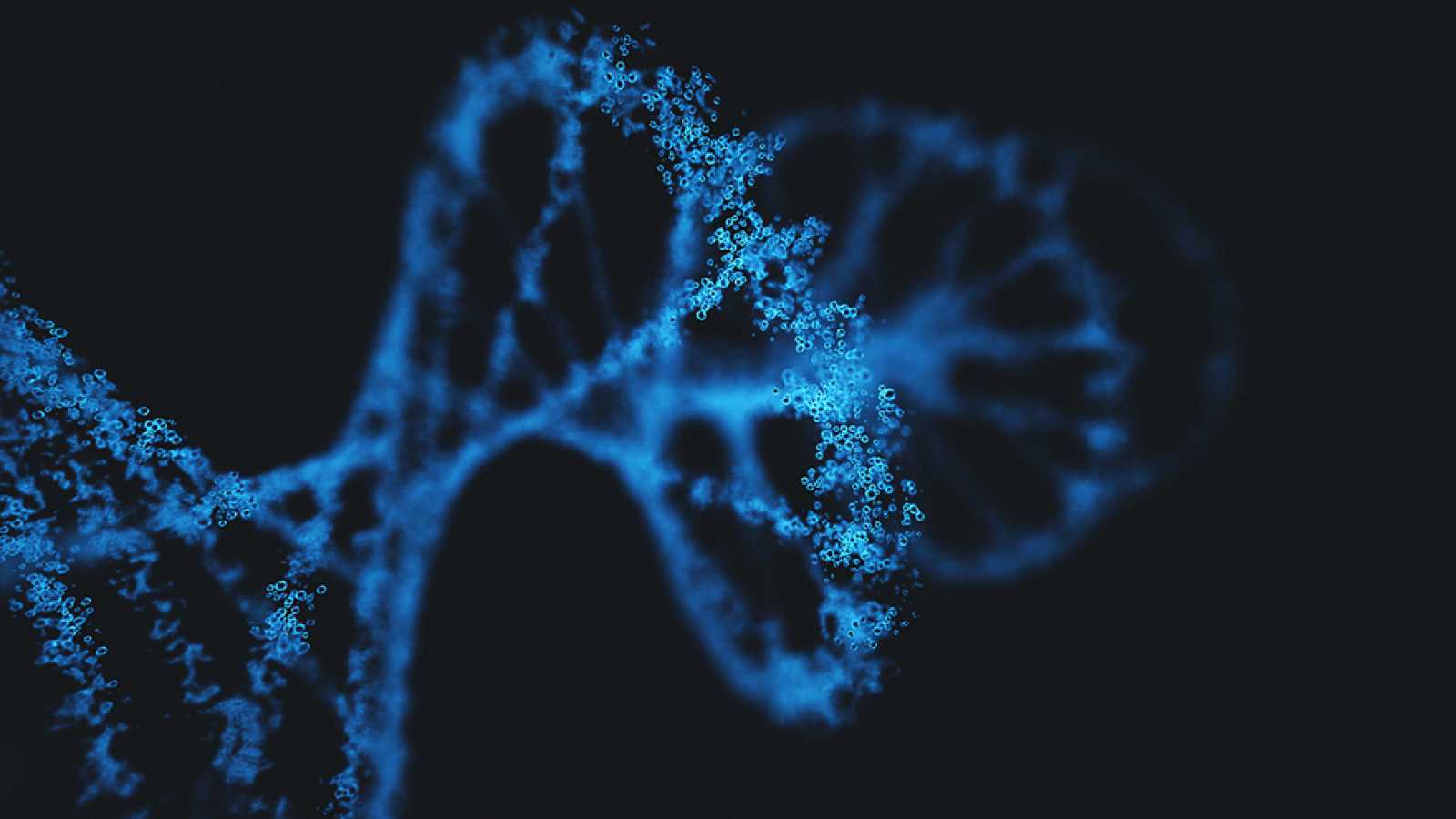 Fondo de pantalla de  1600x900