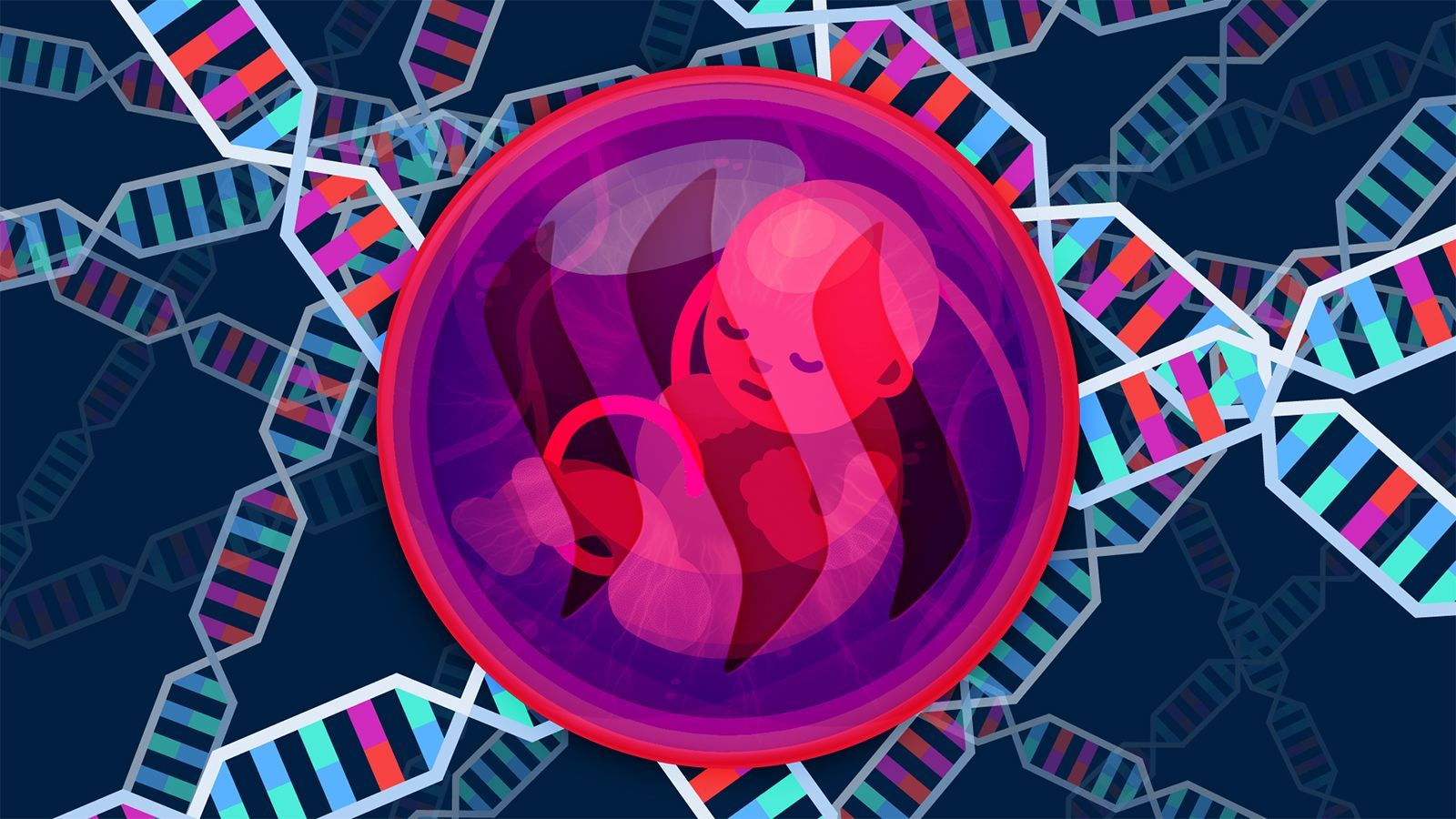 Fondo de pantalla de  1600x900