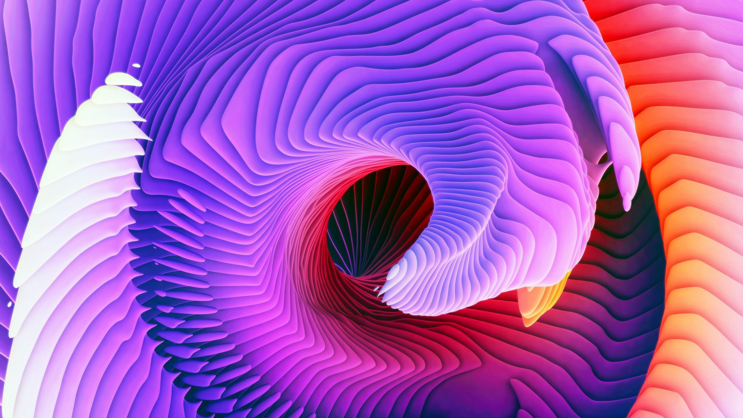 Más de 35 fondos de pantalla de Espirales en la naturaleza - Descarga