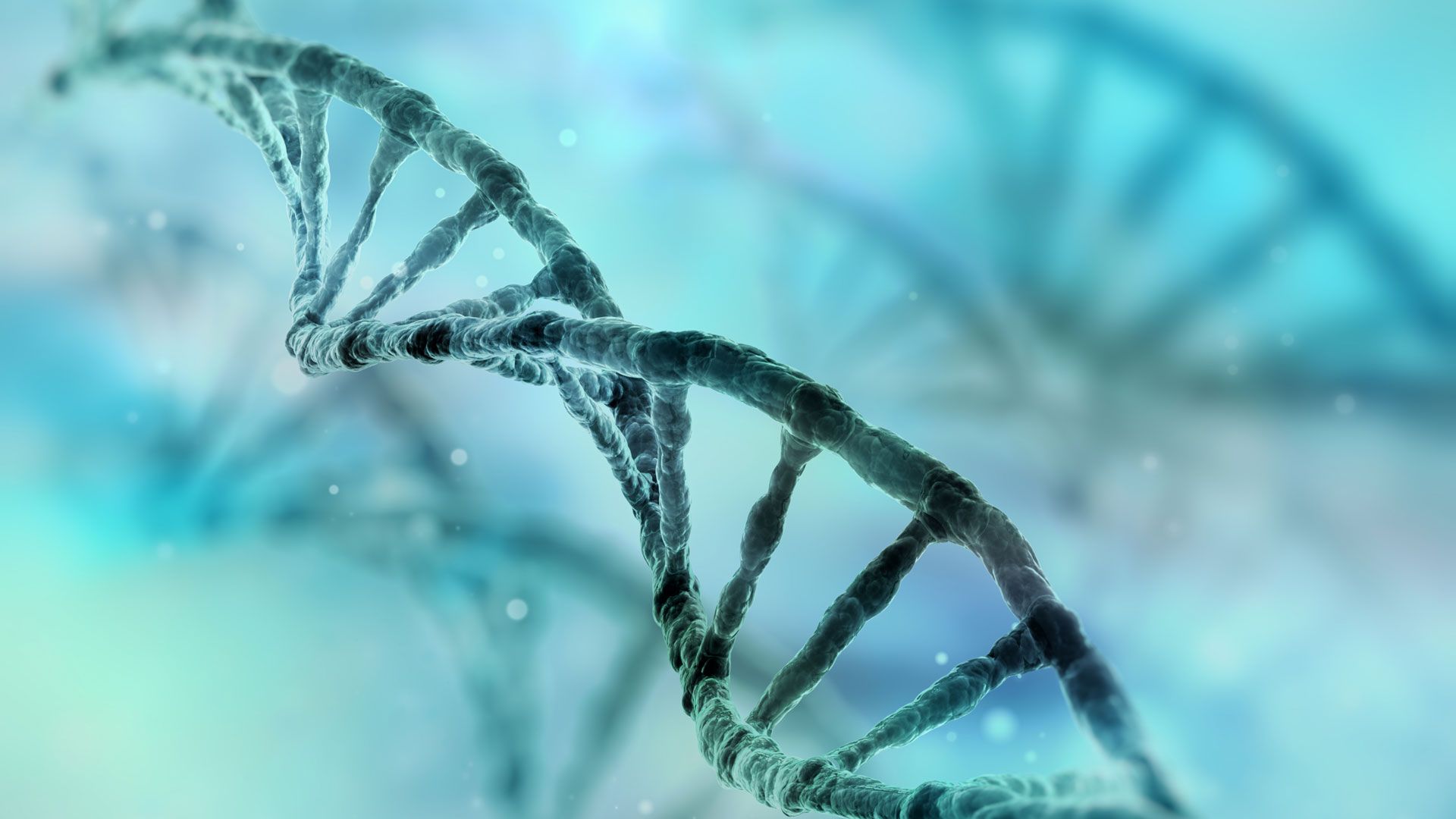 Fondo de pantalla de  1920x1080