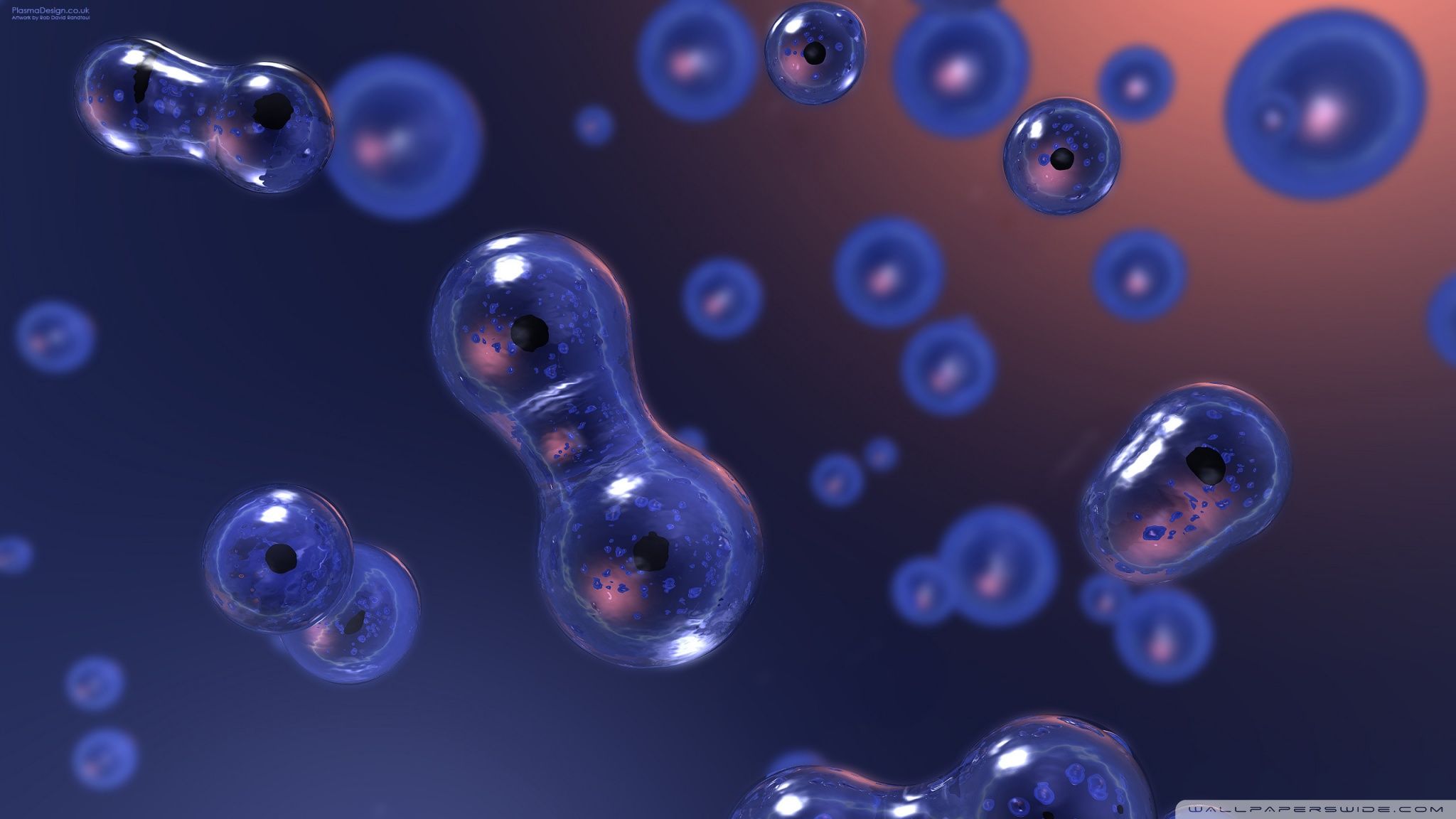 Fondo de pantalla de  2048x1152