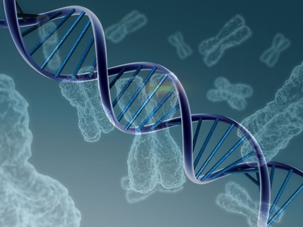 Fondo de pantalla de  1024x768