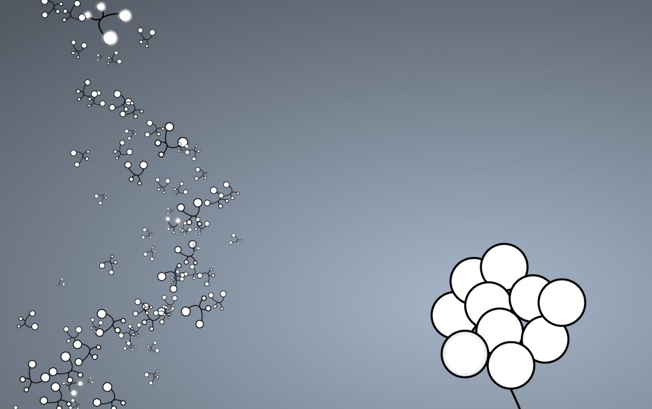 Fondo de pantalla de  1280x804