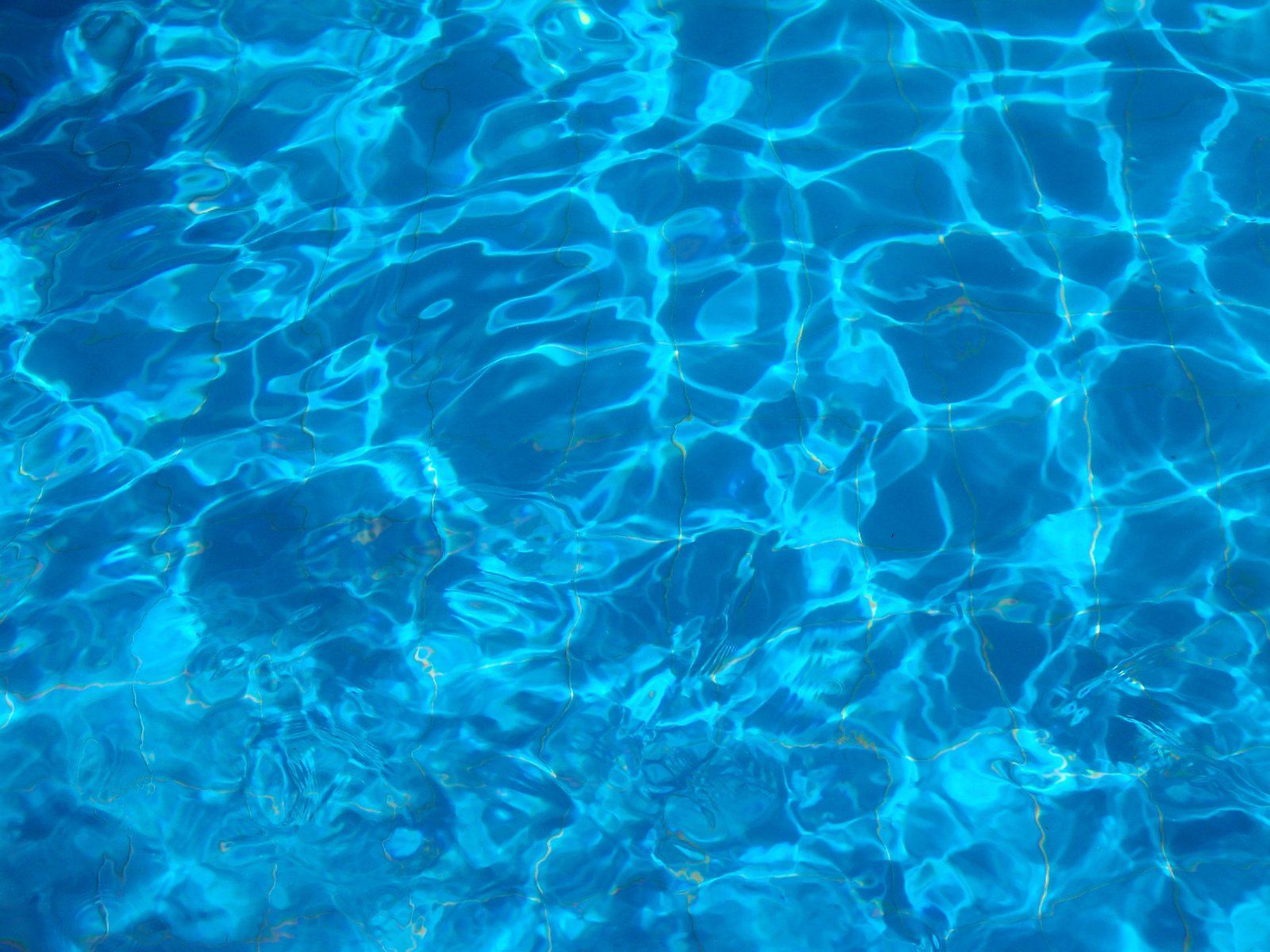 Fondo de pantalla de  1600x1200