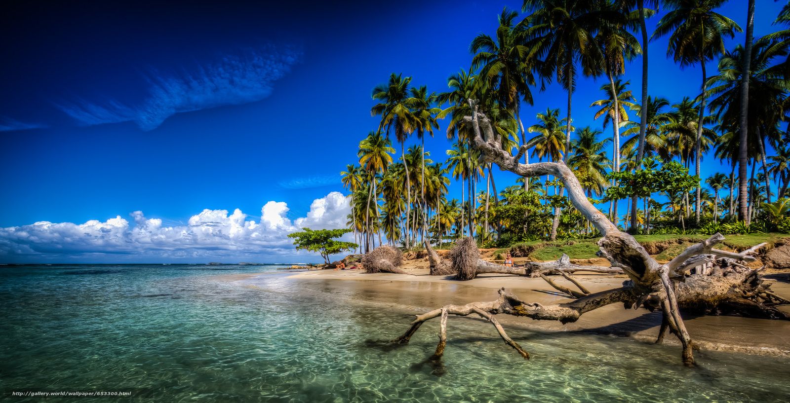 Fondo de pantalla de la  1600x817