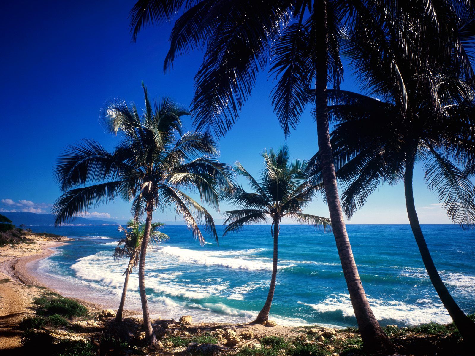 Fondo de pantalla de  1600x1200