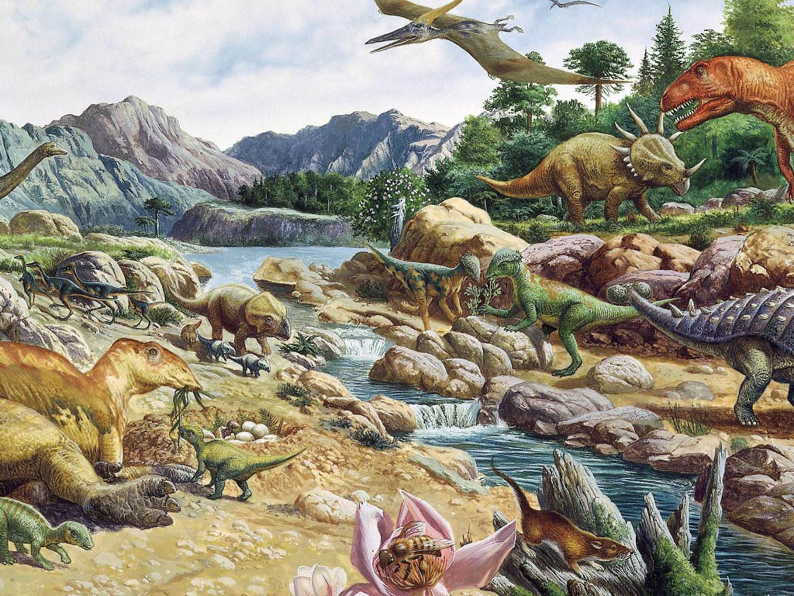 Fondos de dinosaurios Descargar # TX344V6 - 4USkY