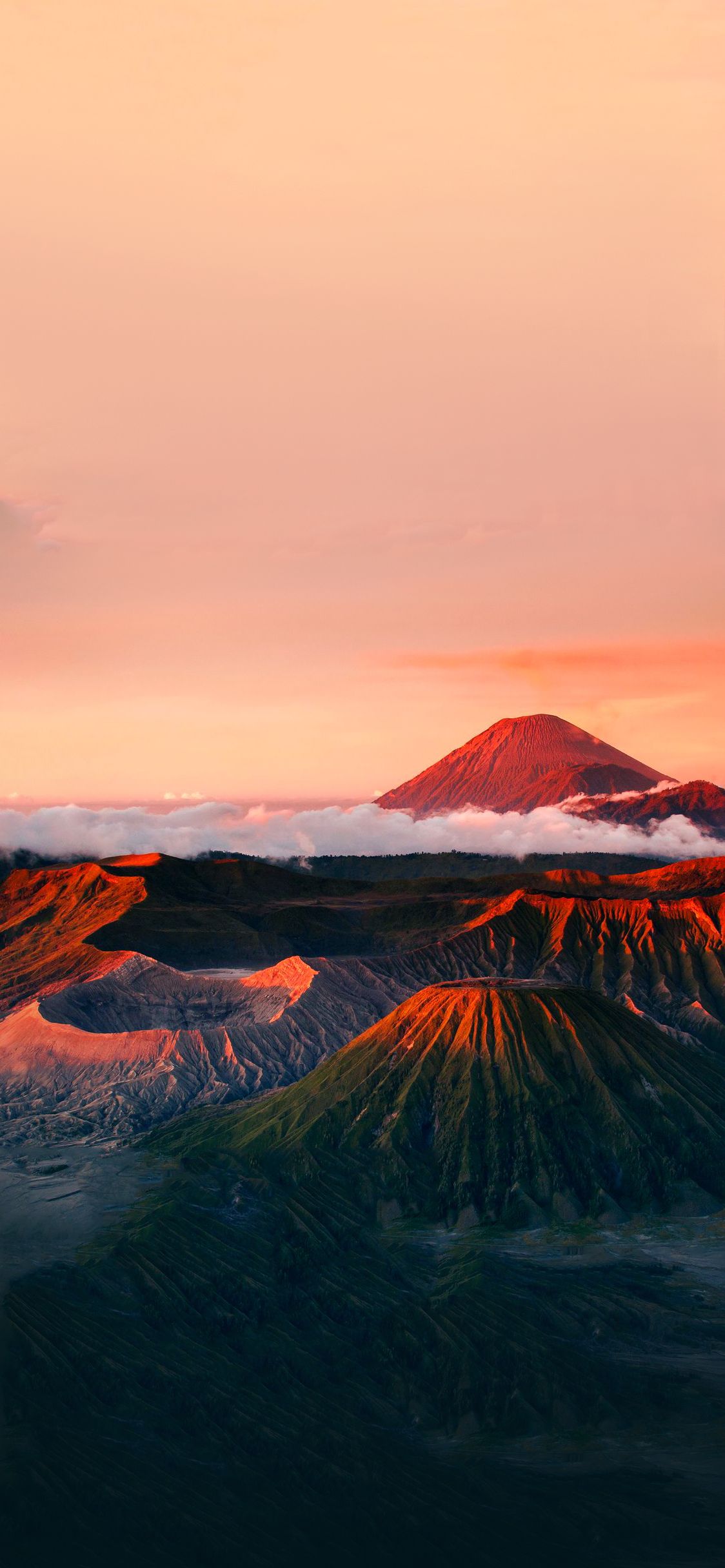 Fondo de pantalla de  1124x2432
