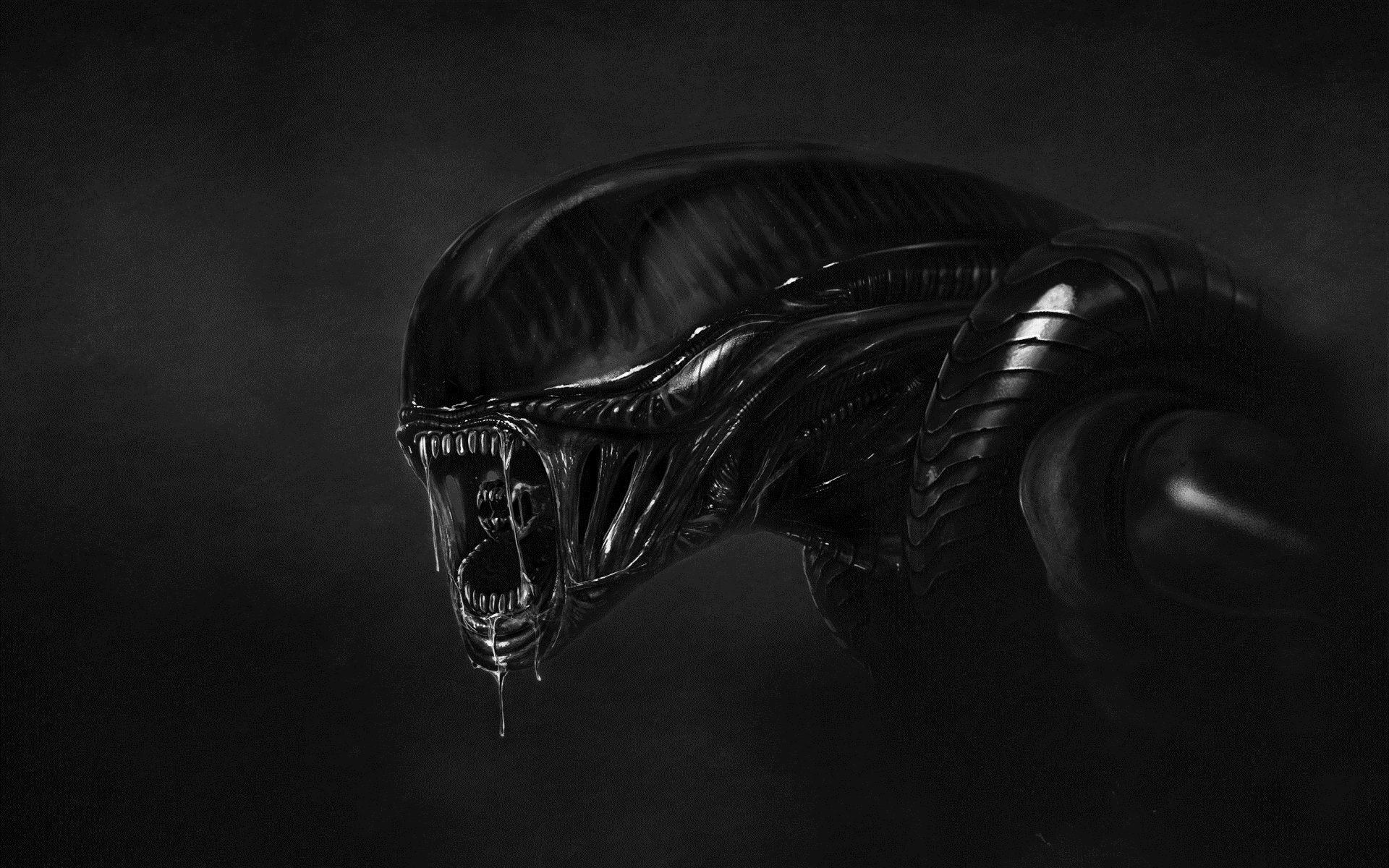 Fondo de pantalla de  1920x1200