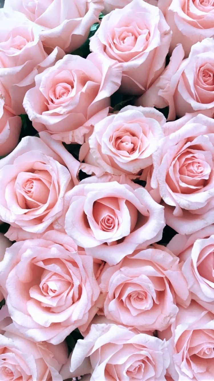Fondo de pantalla de  750x1334
