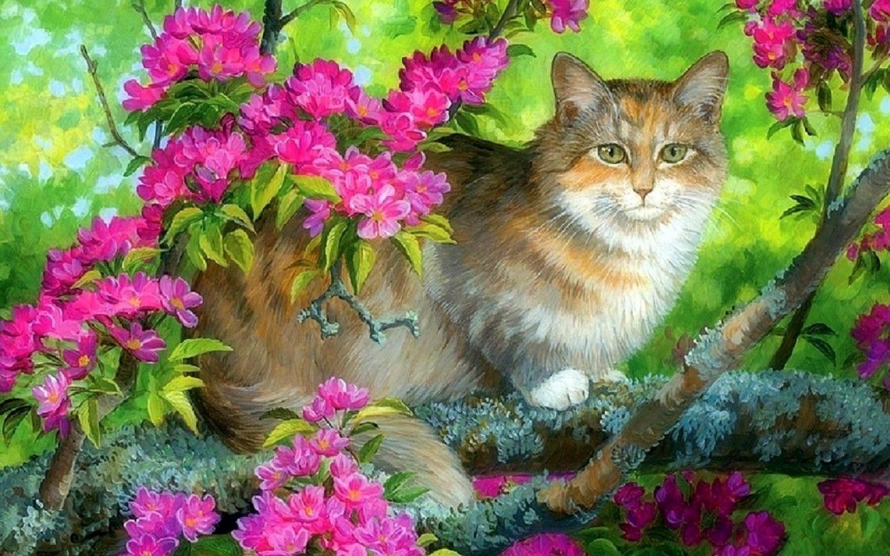 Fondo de pantalla de  1280x800