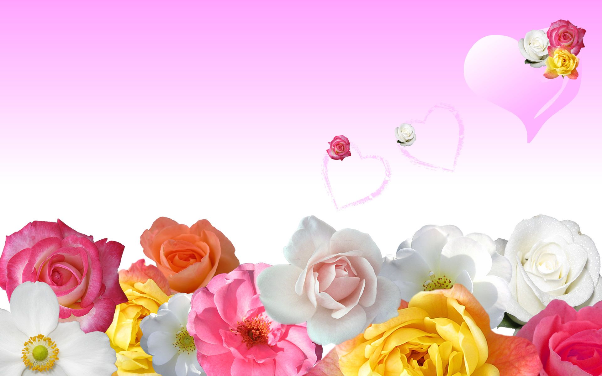 Fondo de pantalla de  1920x1200