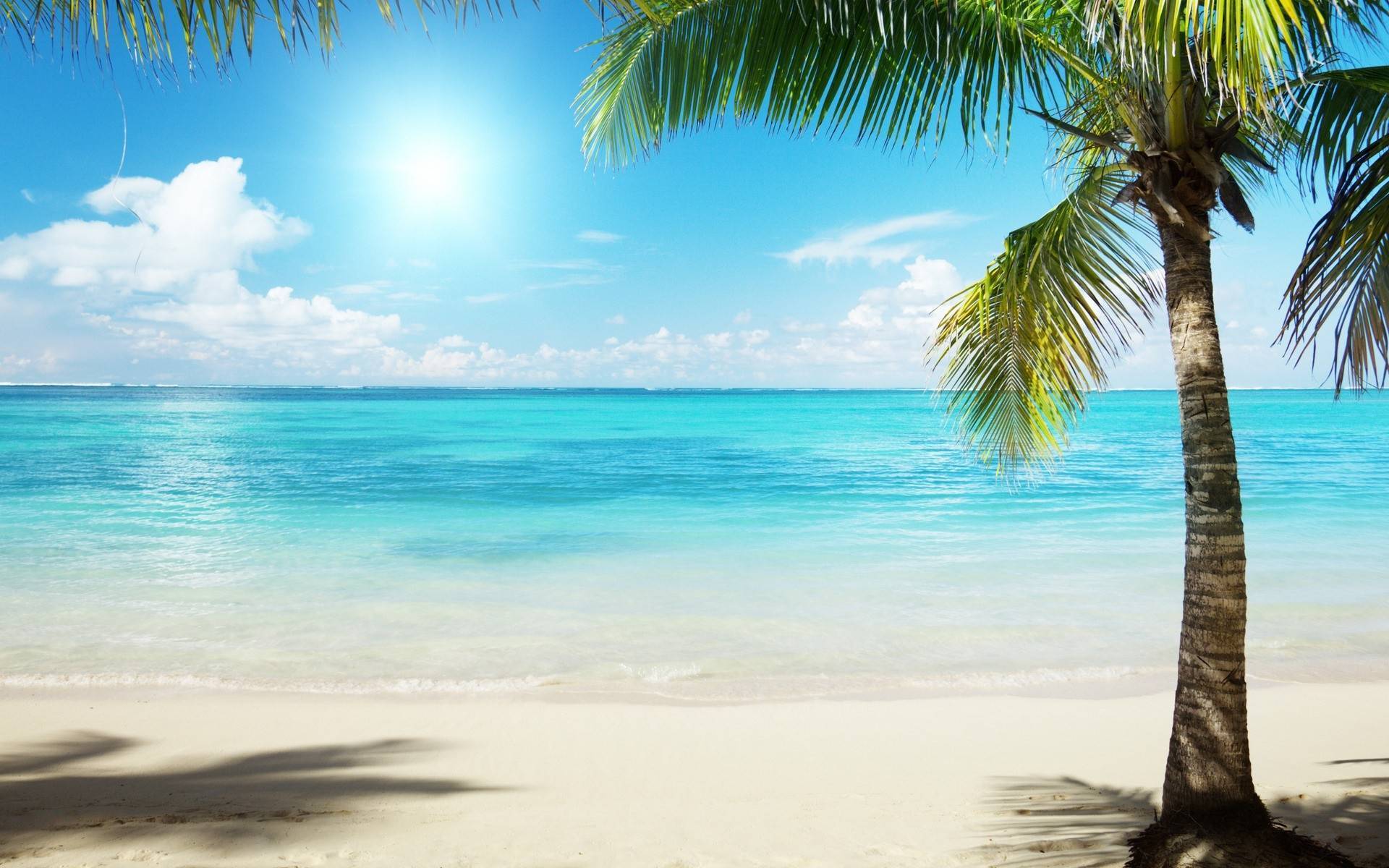 Fondo de pantalla de  1920x1200