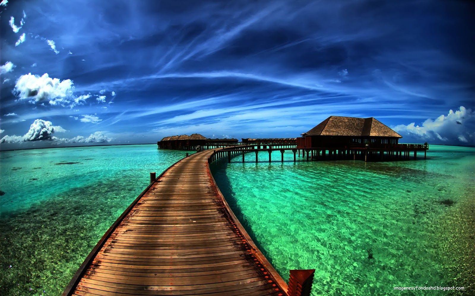 Fondo de pantalla de  1600x1000