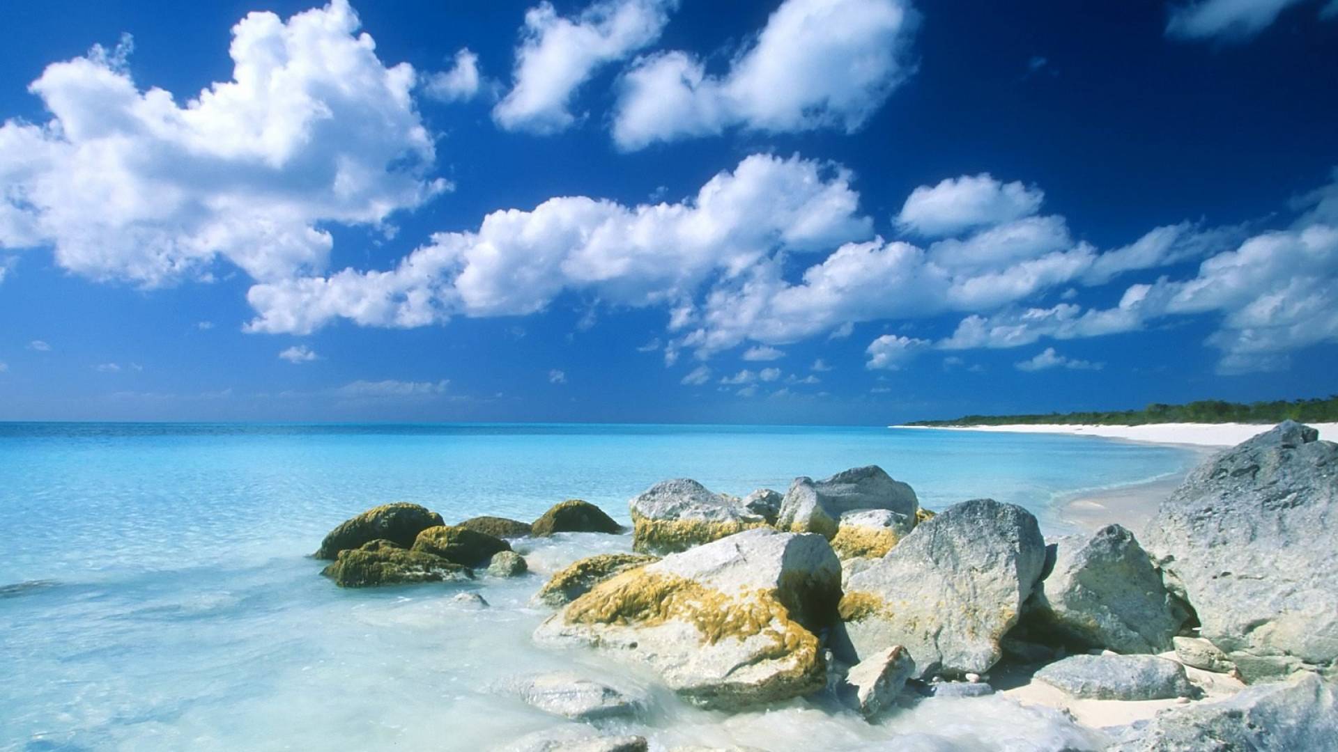 Fondo de pantalla de  1920x1080