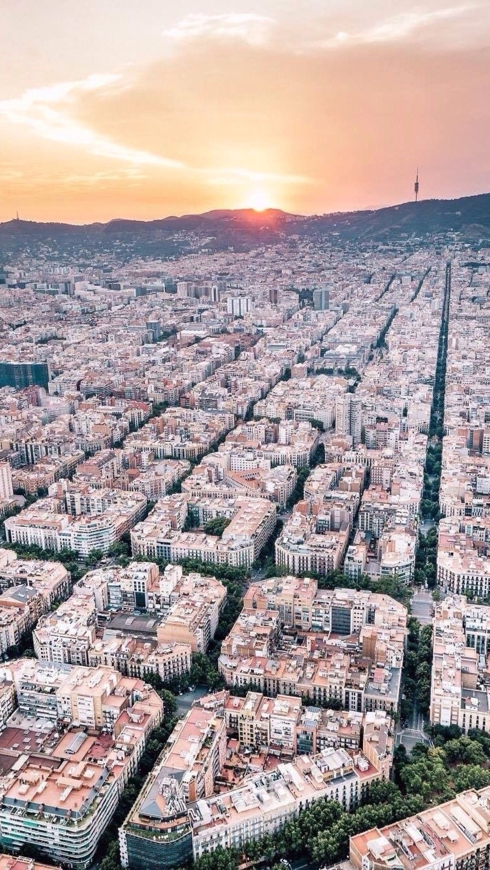 Fondo de pantalla de  1700x3018