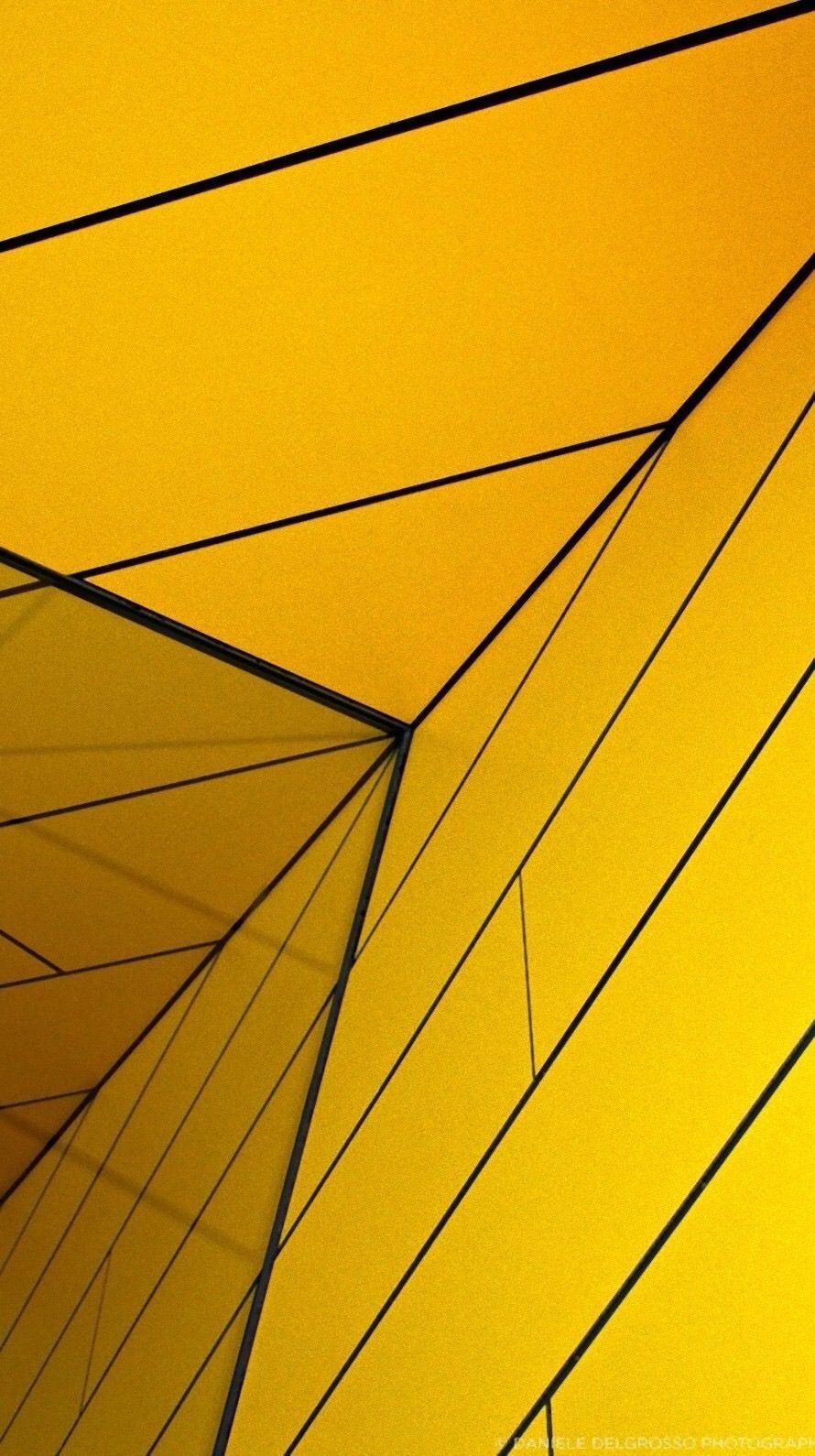 Fondo de pantalla   890x1590