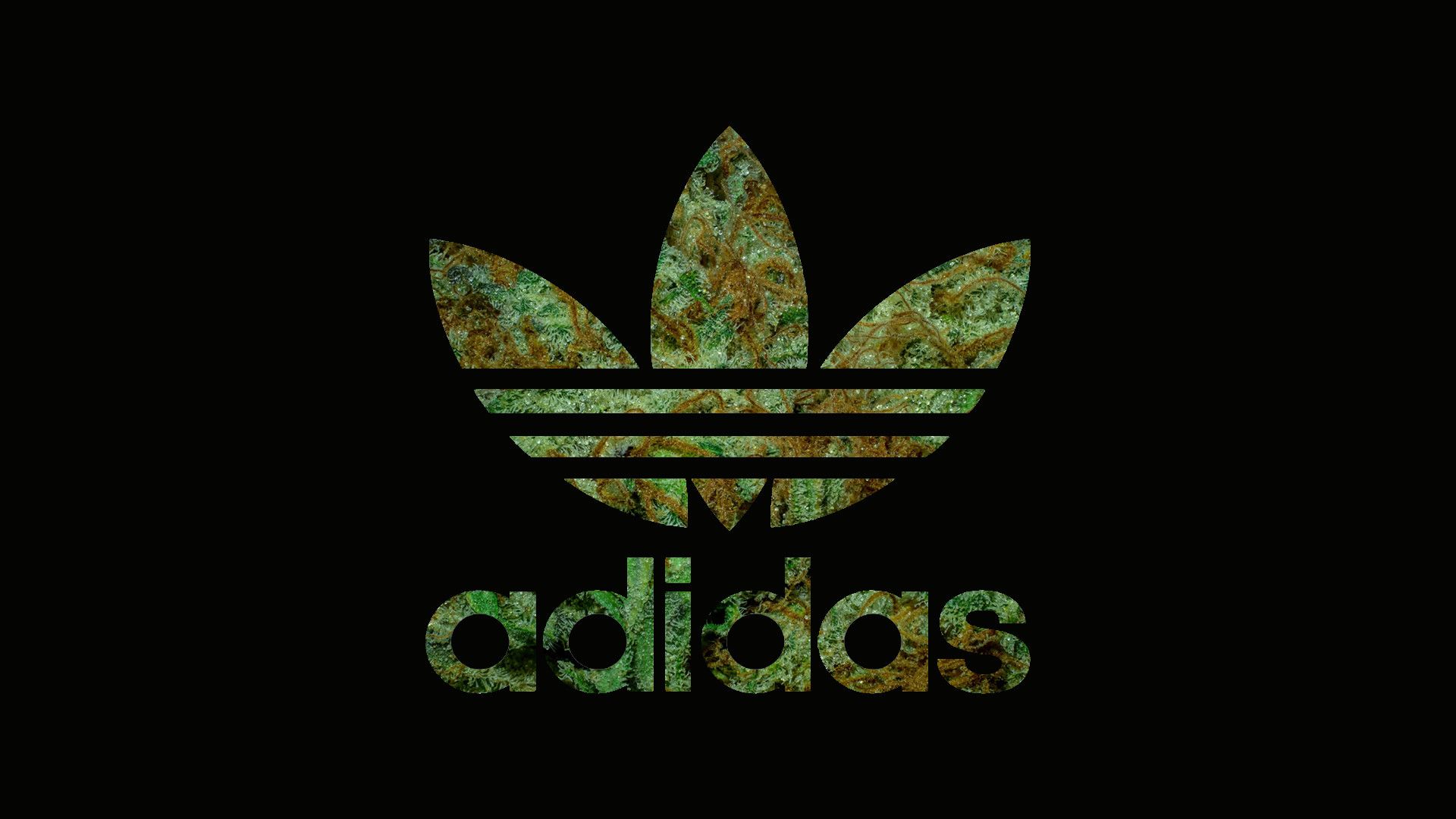 Fondo de pantalla   1920x1080