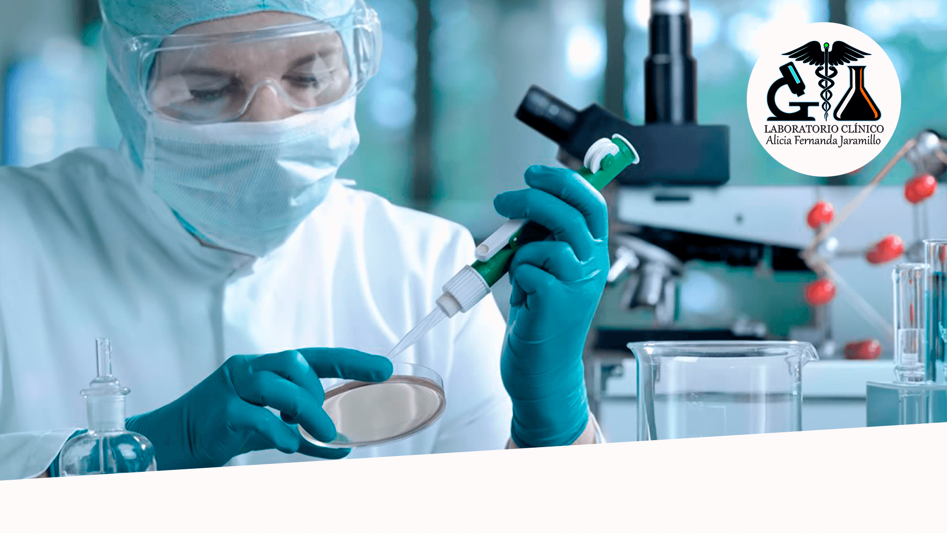 Fondo de pantalla de  1920x1080